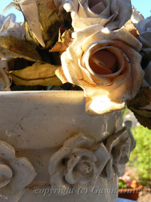 Wax roses, Heritage Estate P1070896.JPG